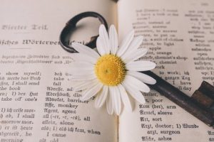 英語の本と花と鍵